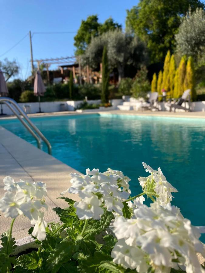 Porturama Bed & Breakfast Mouronho Bagian luar foto