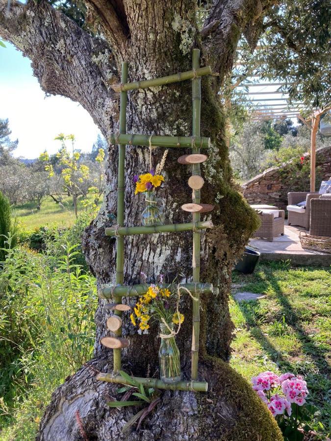 Porturama Bed & Breakfast Mouronho Bagian luar foto