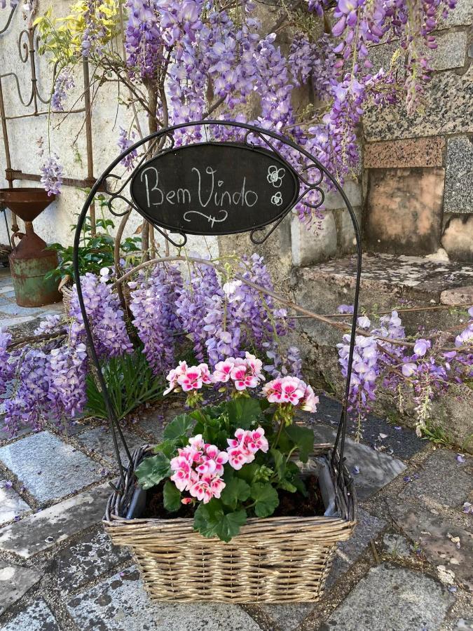 Porturama Bed & Breakfast Mouronho Bagian luar foto