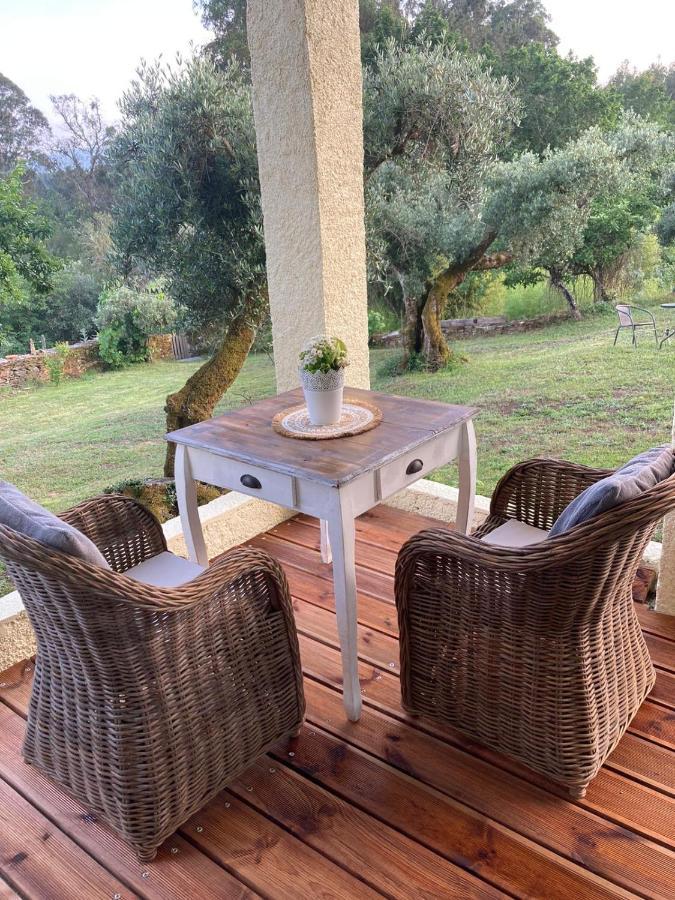 Porturama Bed & Breakfast Mouronho Bagian luar foto