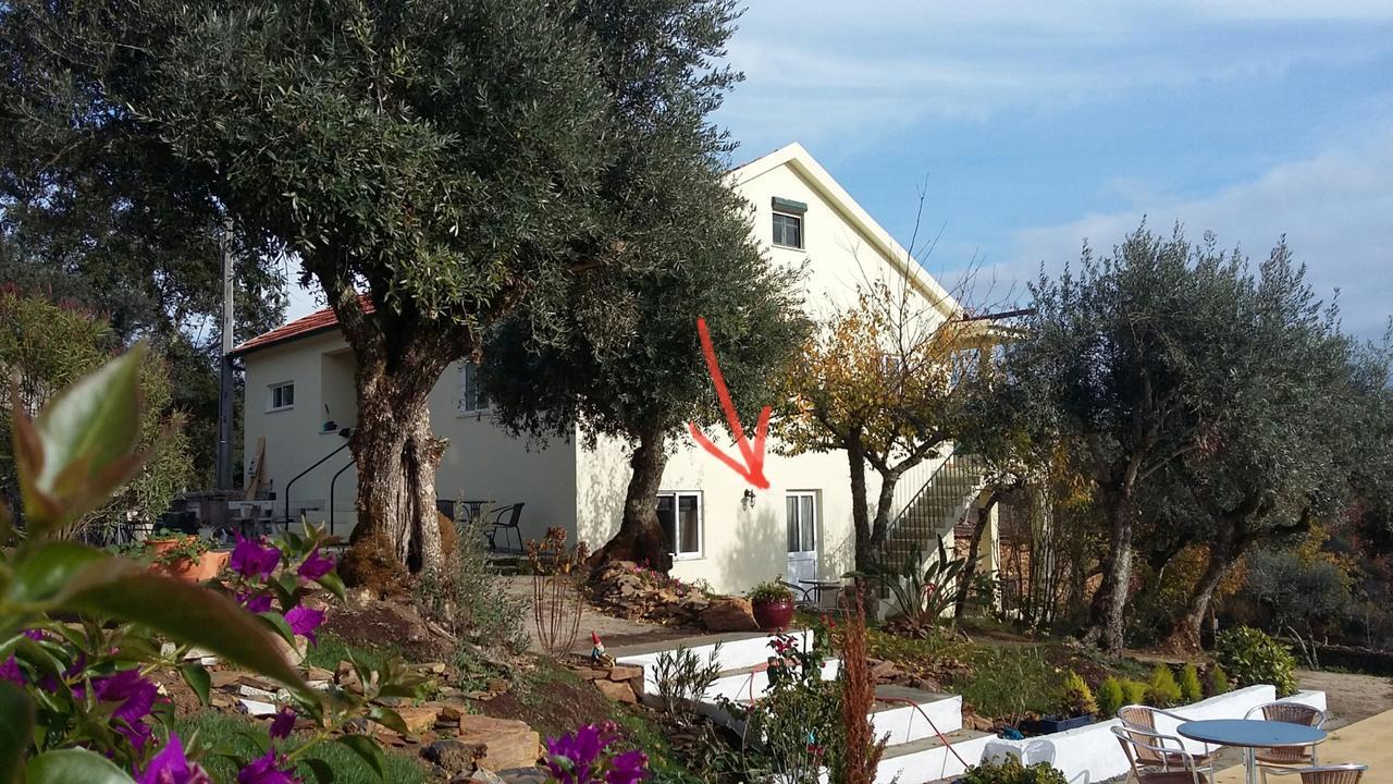 Porturama Bed & Breakfast Mouronho Bagian luar foto